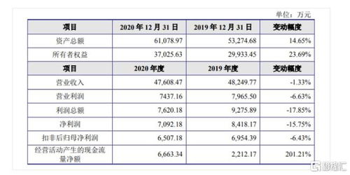 金智教育科創(chuàng)板IPO 聚焦高等教育信息化，2020年?duì)I收達(dá)4.7億元，軟件開(kāi)發(fā)為核心引擎